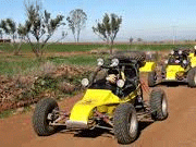 home built dune buggy